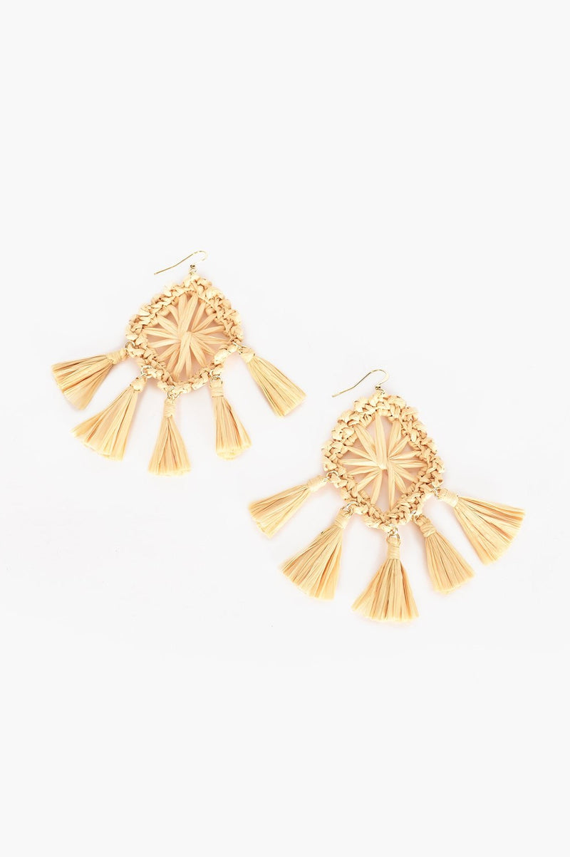 Fringe Nude Earrings